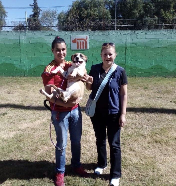 El Metro de la CDMX, reitera su compromiso con los animales, en el Centro de Transferencia Canina