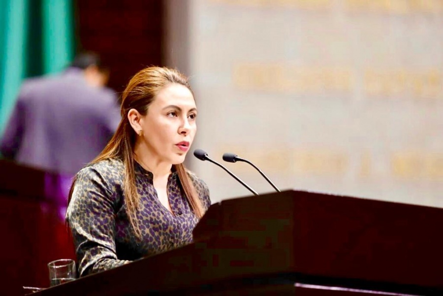 Se busca crear una Ley de Derechos Humanos socializada donde se reflejen las necesidades de todos: Barrera Badillo
