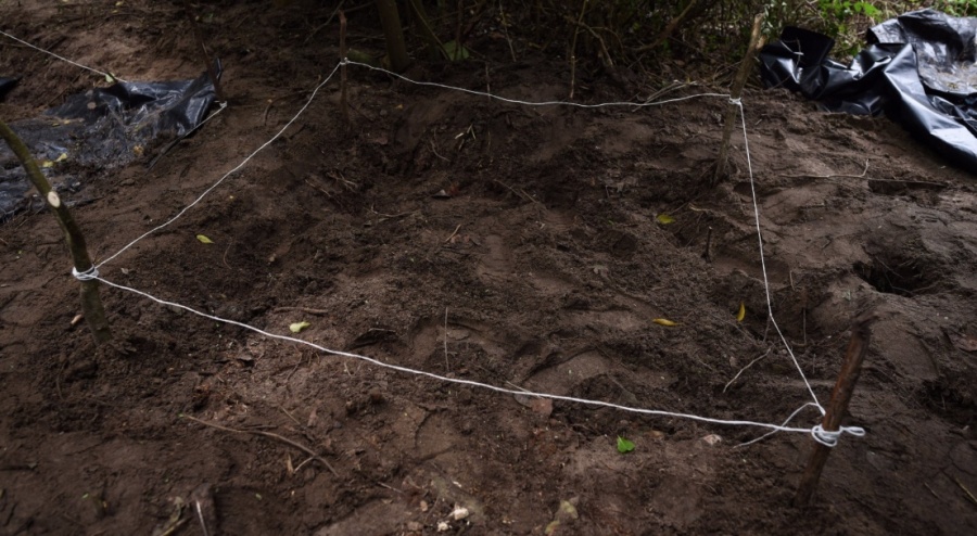 Hallan 19 cadáveres en fosas clandestinas en Colima