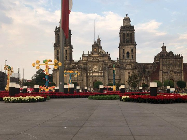 12 mil flores sustituyen la pista de hielo en la Plaza de la Constitución