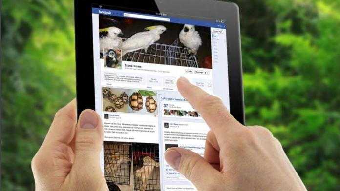 Facebook prohibe la venta de animales