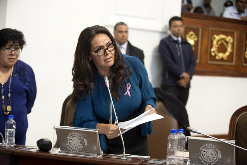Diputados exigen frenar obras en Metro Villa de Cortés por afectaciones ambientales