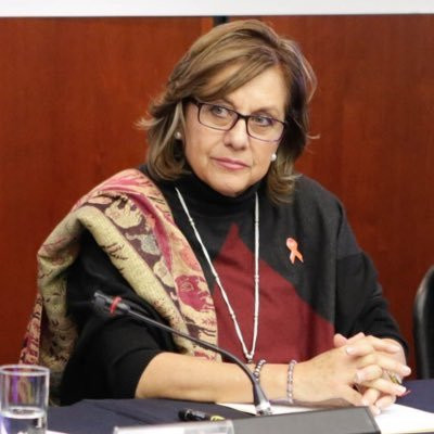 Martha Lucía Micher, construirá una agenda feminista