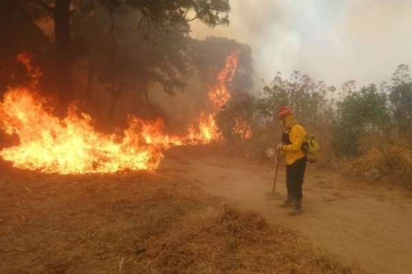 Suspenden clases en preparatorias de Guadalajara por alerta atmosférica ante incendio