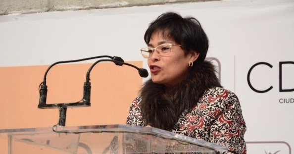 La Consejera del TSJCDMX planteó crear tribunales federales en materia familiar