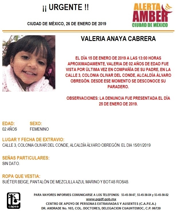 Activan Alerta Amber para localizar a Valeria Anaya en la alcaldía ...