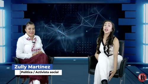 Zully Martiacutenez Activista y poliacutetica  Perfiles