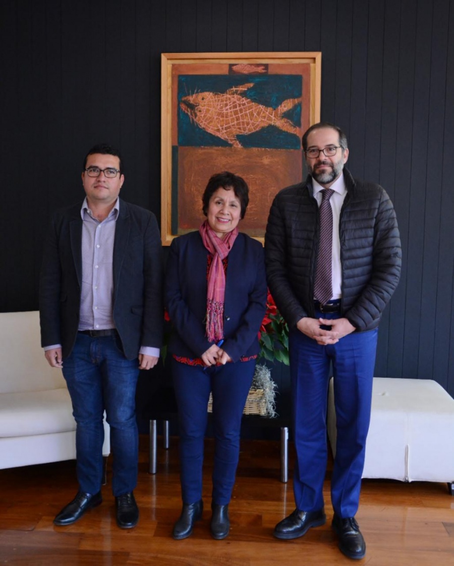 INBAL y Colima impulsan proyecto social de Educación Artística