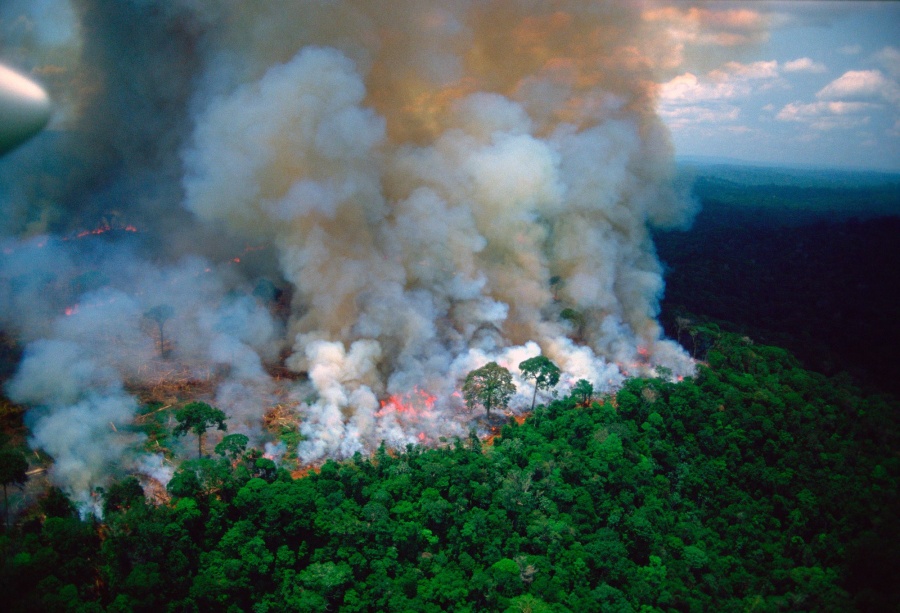 Bomberos argentinos apoyarán para controlar incendio de selva amazónica