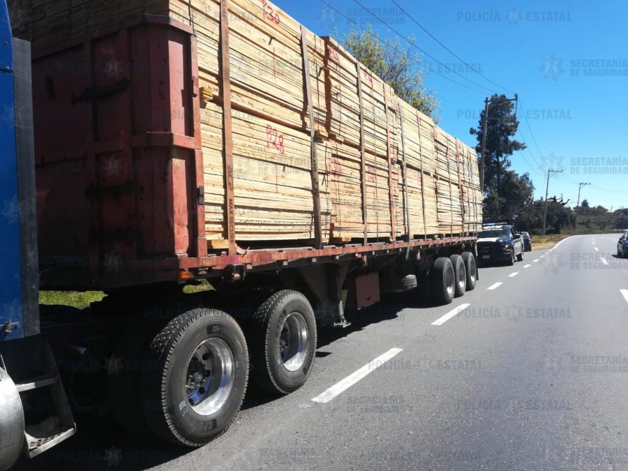 Cae implicado en delitos ambientales con madera de dudosa procedencia