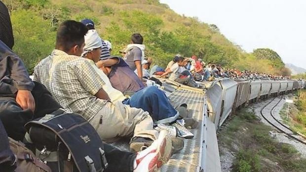 Muere migrante hondureño tras caer de un tren en Veracruz