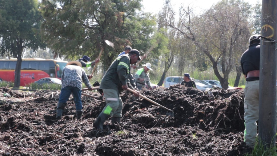 Retiran residuos de Mercado de Plantas y Flores Cuemanco